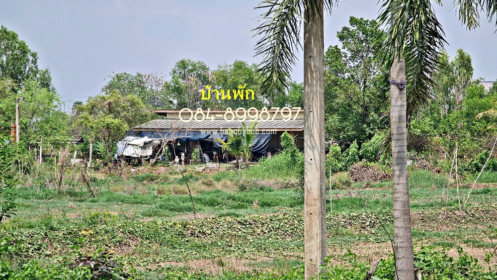 ขาย ที่ดินอยุธยา ต.บางซ้าย อ.เสนา ที่ถมแล้วทั้งแปลง เนื้อที่ 28-3-42 ไร่ ติดถนนสาย 4004 สุพรรณบุรี-อยุธยา ด้านหลังติดคลอง 300 เมตร ใกล้ อบต.วังพัฒนา ถมสูงเท่าถนน น้ำไม่ท่วม ขายไร่ละ 990,000 บาท